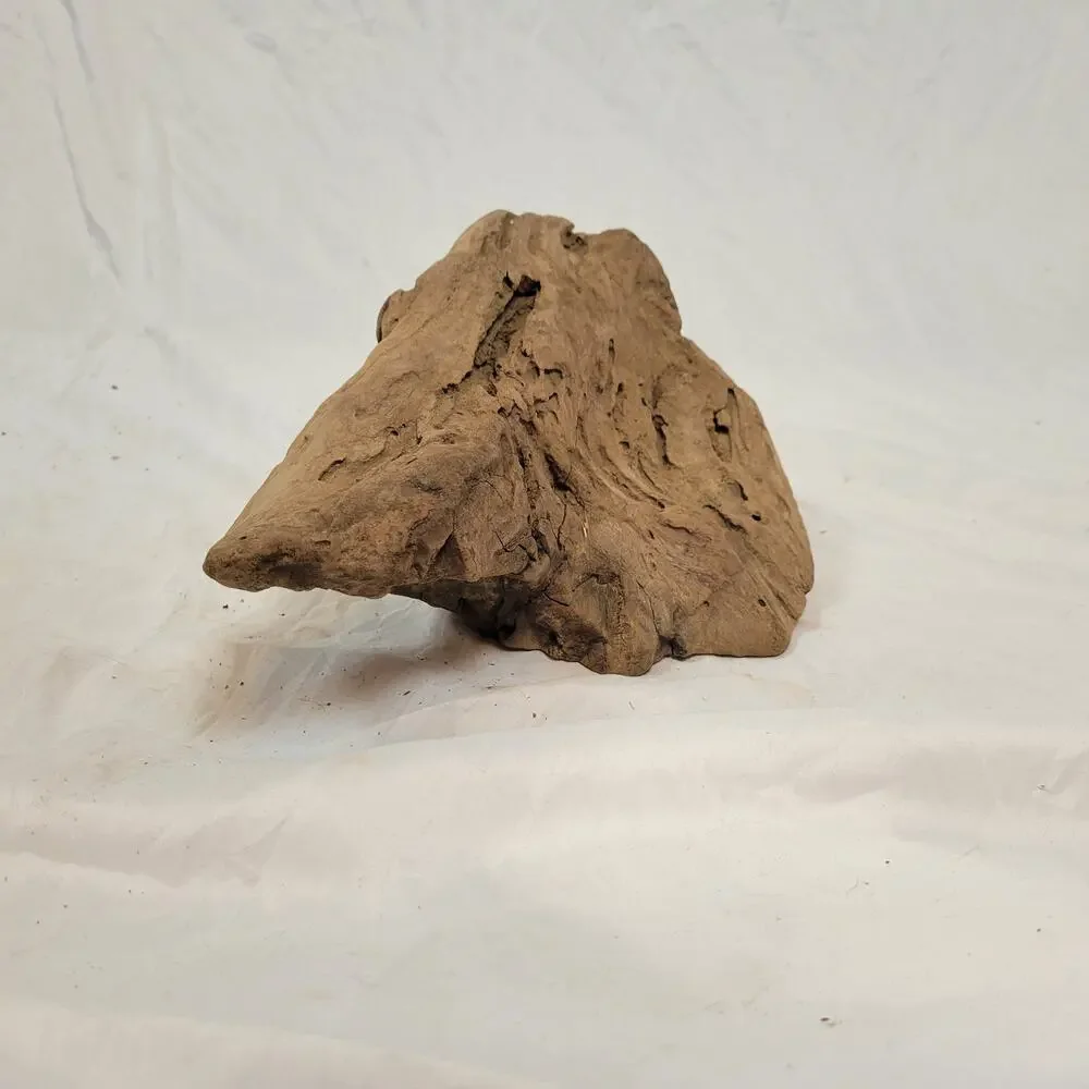 Ohio River Driftwood 12